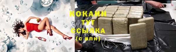 ешки Вяземский