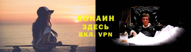 дмт Вязьма